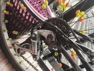 Bicycle (Used)
