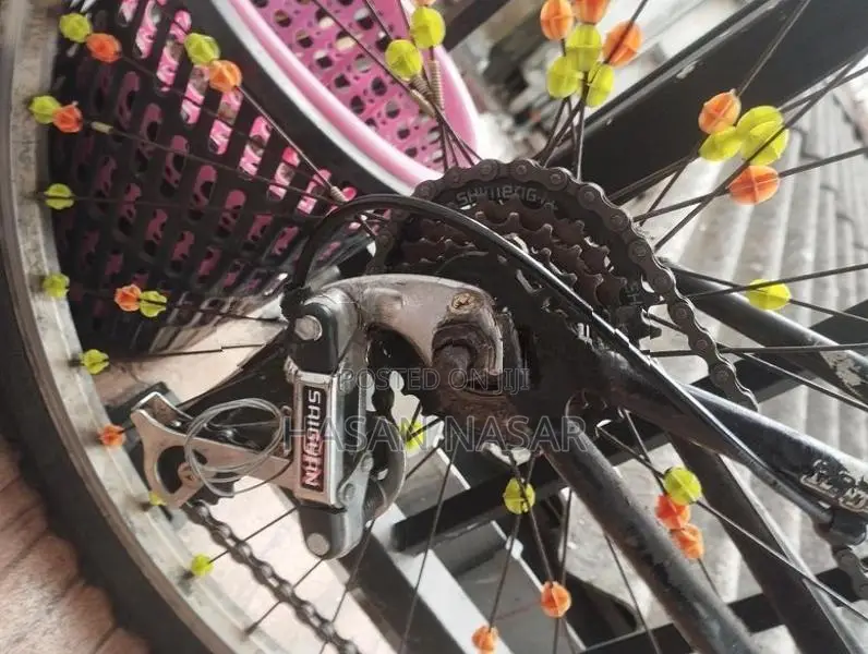 Bicycle (Used)