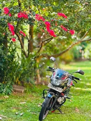 Bajaj Pulsar 150 Pulser 2014