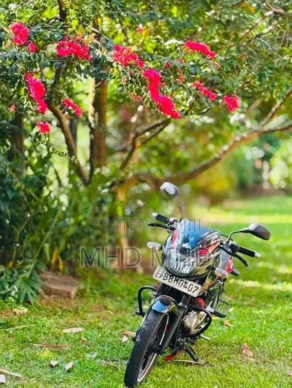Bajaj Pulsar 150 Pulser 2014