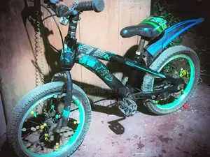 A Phillips Kids Bicycle It Was Only Used For One Month