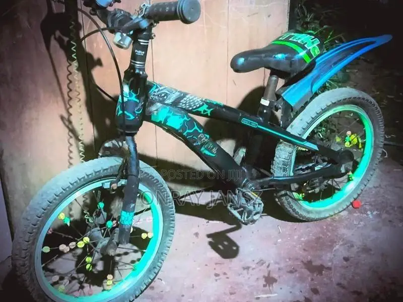 A Phillips Kids Bicycle It Was Only Used For One Month