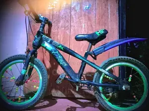 A Phillips Kids Bicycle It Was Only Used For One Month