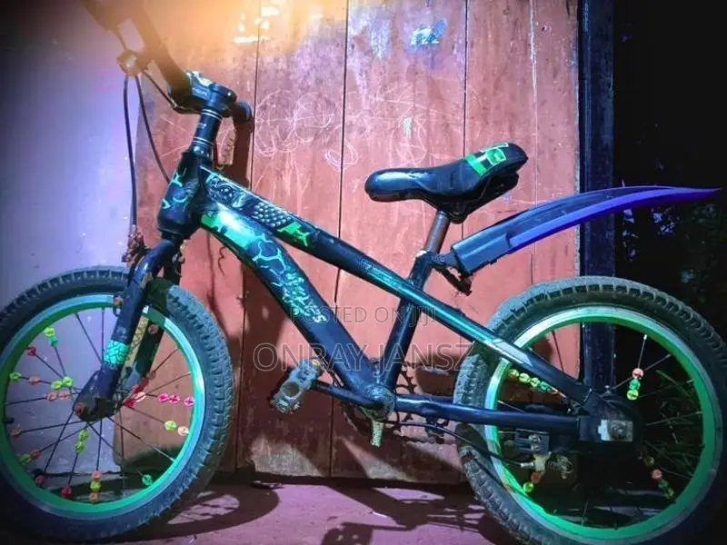 A Phillips Kids Bicycle It Was Only Used For One Month