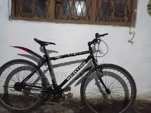 Kenton Mountain Bicycle Tyre Size 26