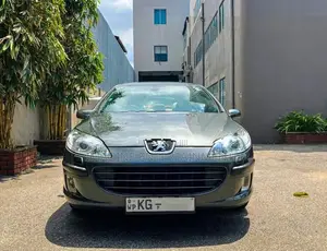 Peugeot 407 2007