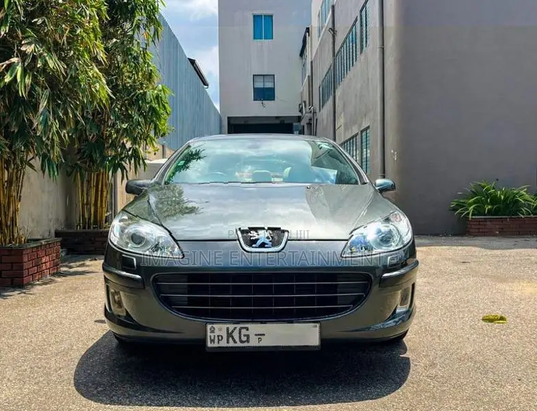 Peugeot 407 2007