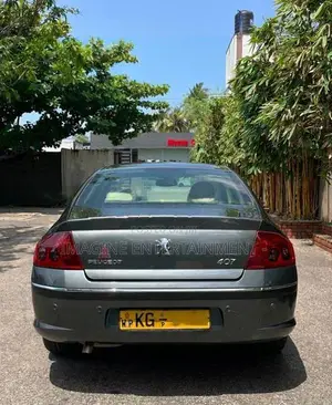 Peugeot 407 2007