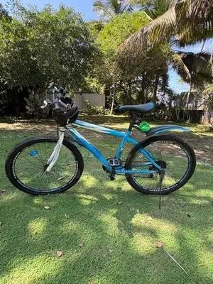 Tomahawk Blade Bicycle (Used)