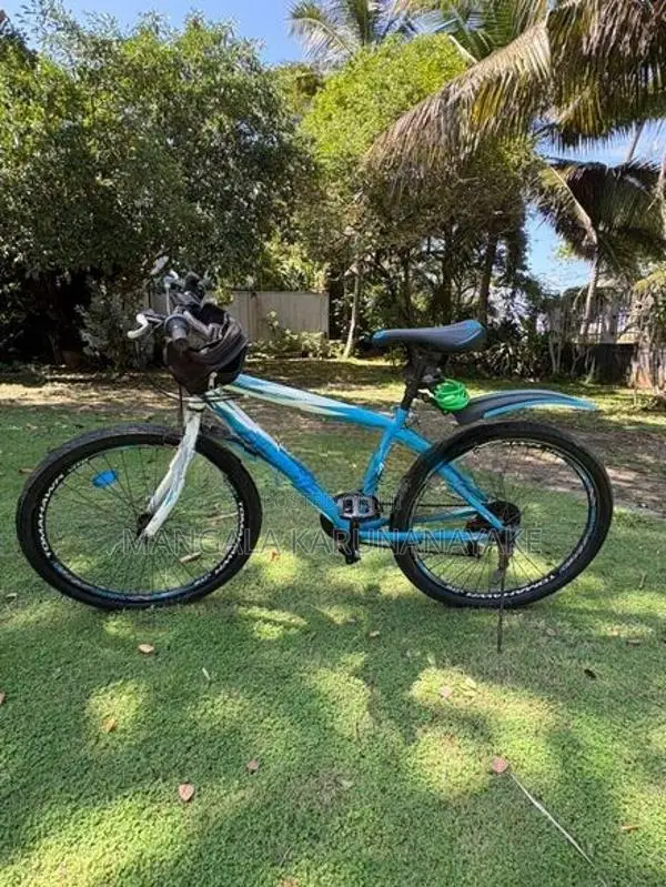 Tomahawk Blade Bicycle (Used)