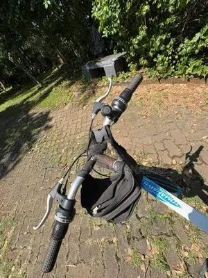 Tomahawk Blade Bicycle (Used)