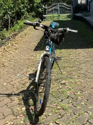 Tomahawk Blade Bicycle (Used)