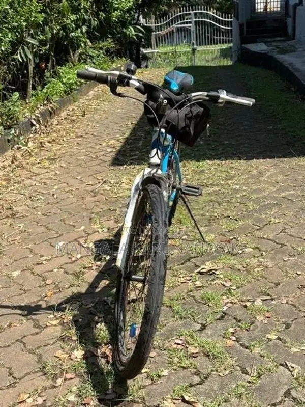 Tomahawk Blade Bicycle (Used)