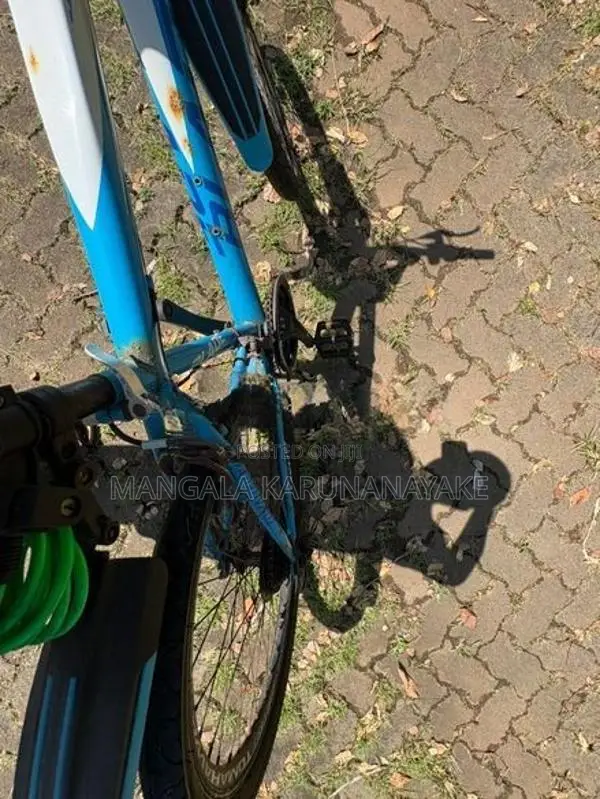 Tomahawk Blade Bicycle (Used)