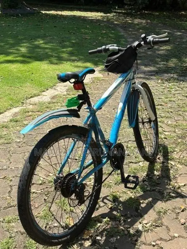 Tomahawk Blade Bicycle (Used)