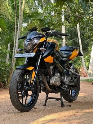 Bajaj Pulsar NS200 2013