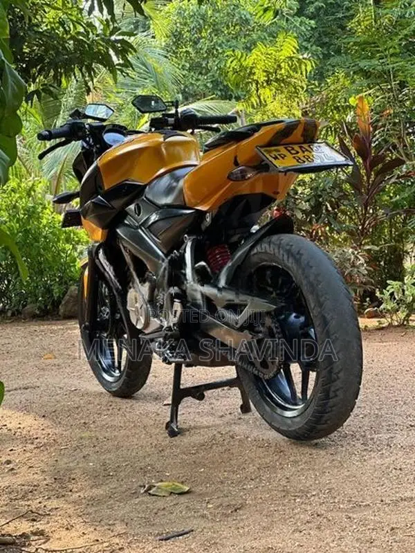 Bajaj Pulsar NS200 2013