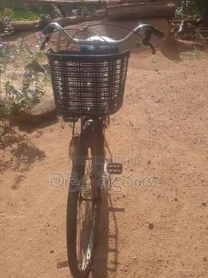 Japanese Ladies Bicycle