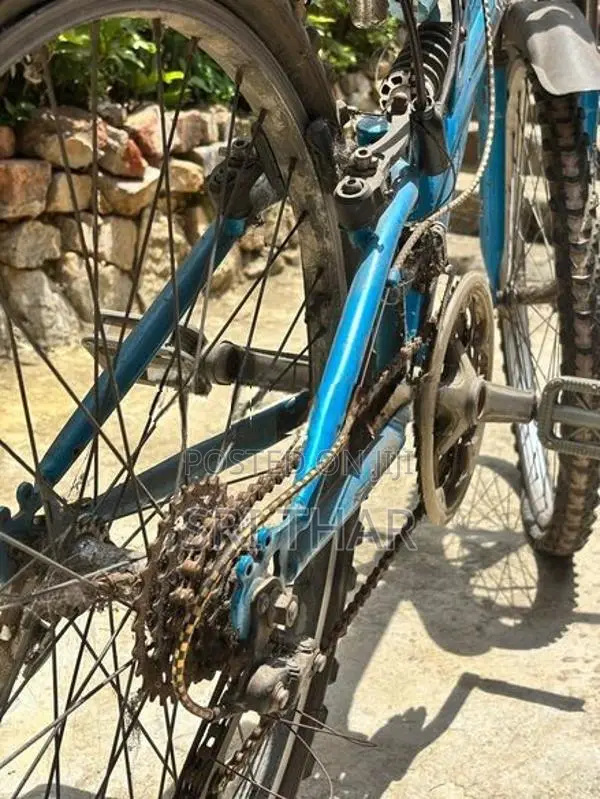 Bicycle
