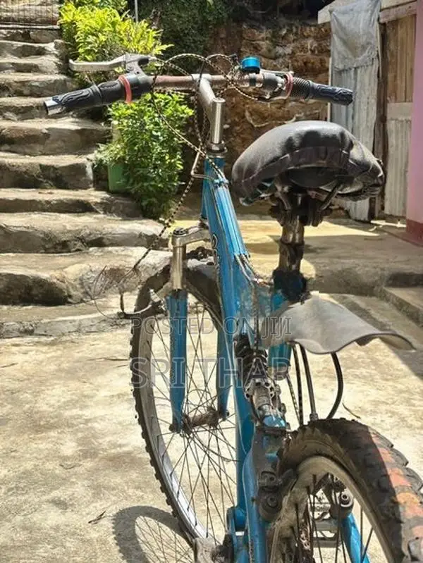 Bicycle