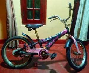 Japan 18" Bicycle