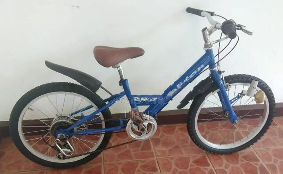 Mountain Bicycle(Size-20)