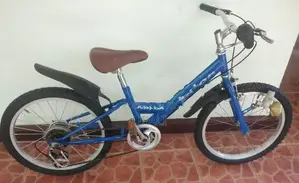 Mountain Bicycle(Size-20)