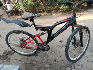 Lumala Bicycle