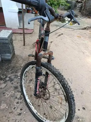 Lumala Bicycle