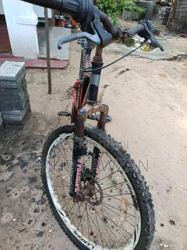 Lumala Bicycle