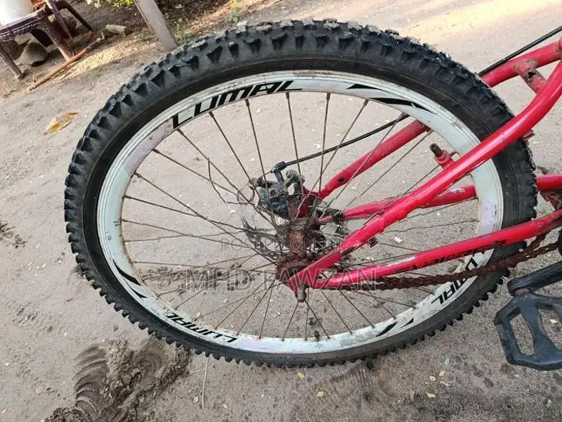 Lumala Bicycle