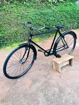 Standard Bicycle