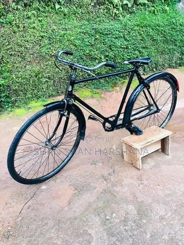Standard Bicycle
