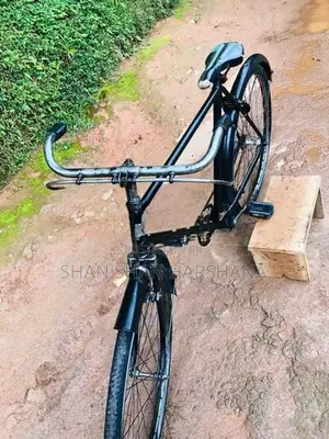 Standard Bicycle