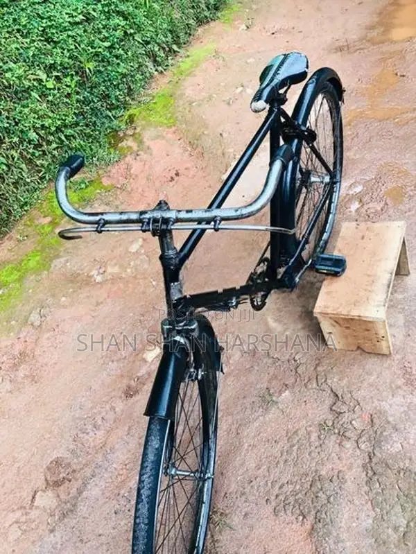 Standard Bicycle