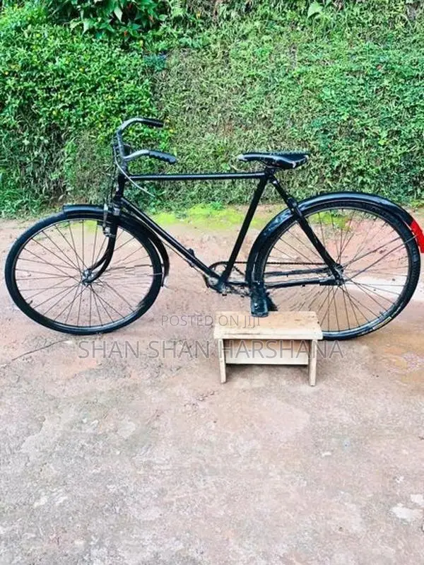 Standard Bicycle