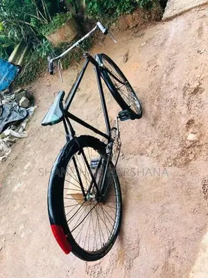 Standard Bicycle