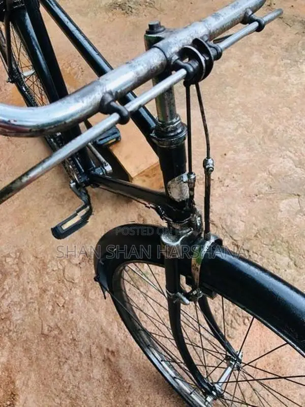 Standard Bicycle
