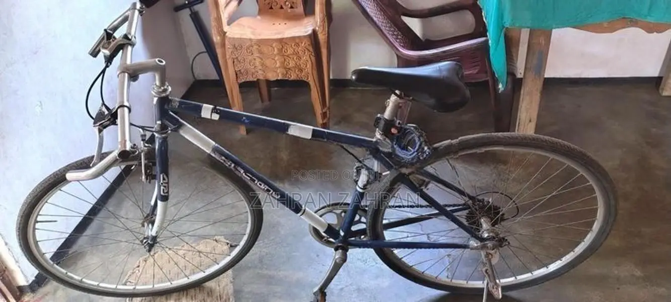 DSI Bicycle
