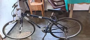 DSI Bicycle