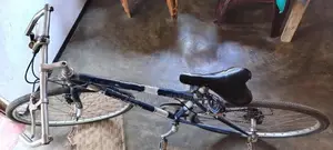 DSI Bicycle