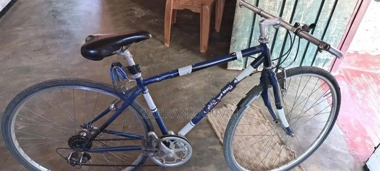 DSI Bicycle