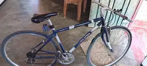 DSI Bicycle
