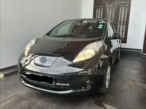 Nissan Leaf Azeo 2013