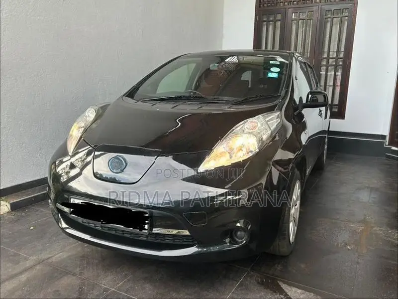 Nissan Leaf Azeo 2013