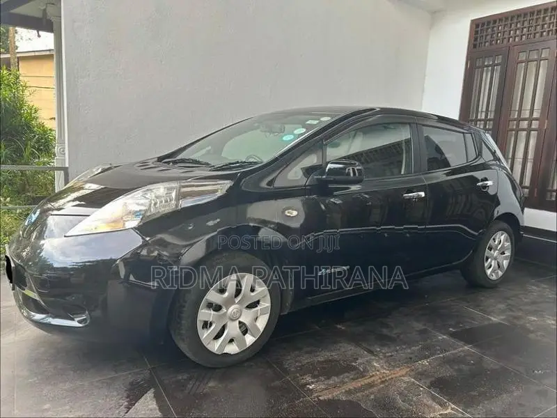 Nissan Leaf Azeo 2013