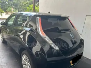 Nissan Leaf Azeo 2013