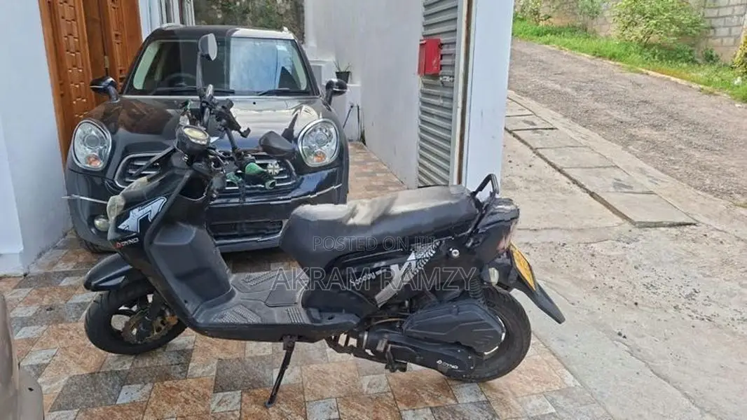 Dyno Scooby 125 2022