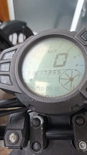Dyno Scooby 125 2022