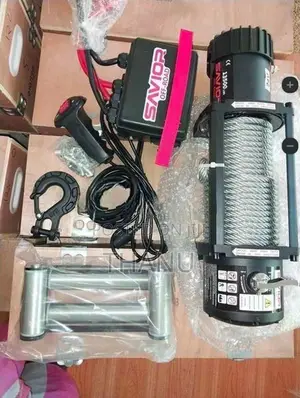 Electric winch